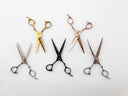 Bumble Bee Professional Barber Hair Cutting & Thinning Shears